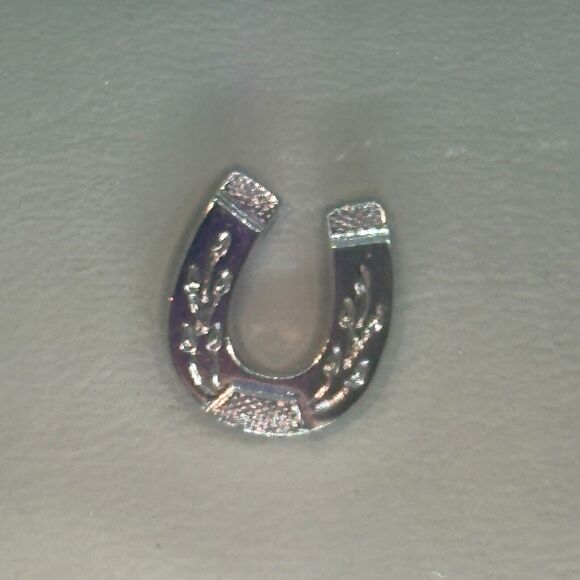 Men's Lucky Horseshoe Tie Tack Silvertone Pin A Novel Idea Graduation Wedding - Picture 2 of 5